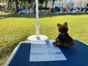 11/09/2024 – Excursion planning